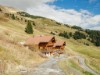 Bild 53 - Ude