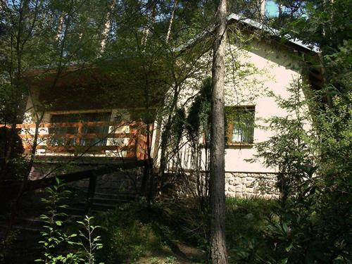 Ferielejlighed - 5 personer -  - Zum Sägewerk - 06869 - Möllensdorf