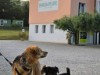 Image 22 - Outside