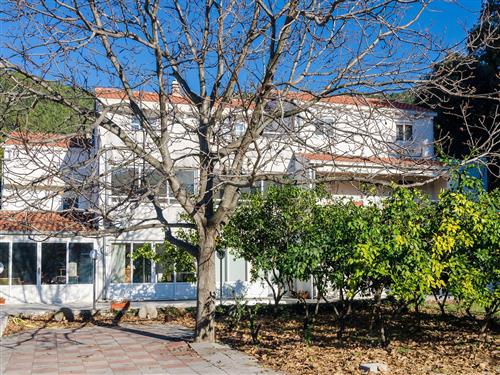 Ferielejlighed - 4 personer -  - Polje br. - 20247 - Zuljana