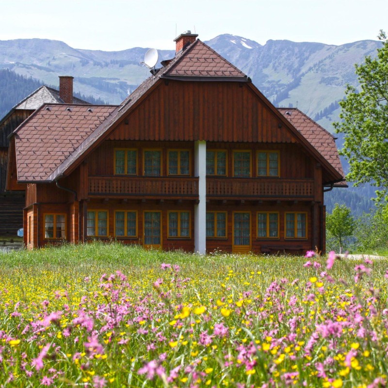 Ferielejlighed - 8 personer -  - Donnersbachwald - 8953 - Donnersbach