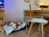 Bild 8 - Innen