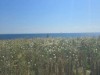Bild 10 - Ude