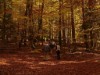 Billede 30