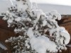Bild 33 - Ude