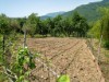 Image 24 - Outside