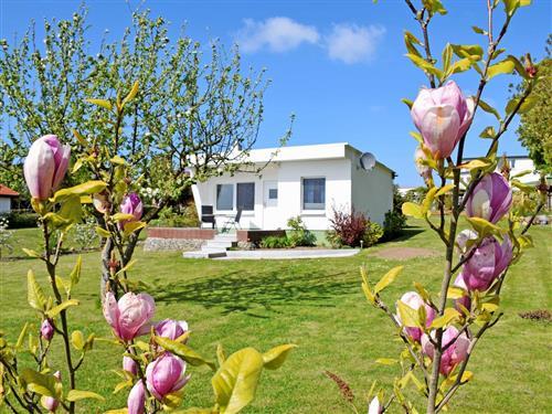 Ferielejlighed - 2 personer -  - Bahnhofstraße - 18573 - Altefähr