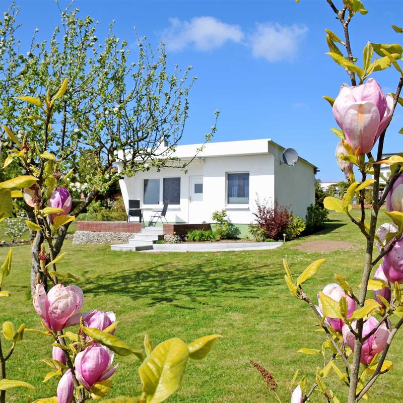 Ferielejlighed - 2 personer -  - Bahnhofstraße - 18573 - Altefähr