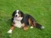 Bild 19