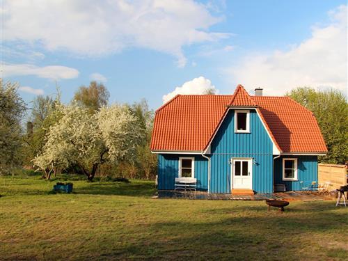 Feriehus - 7 personer -  - Troja - 17248 - Lärz