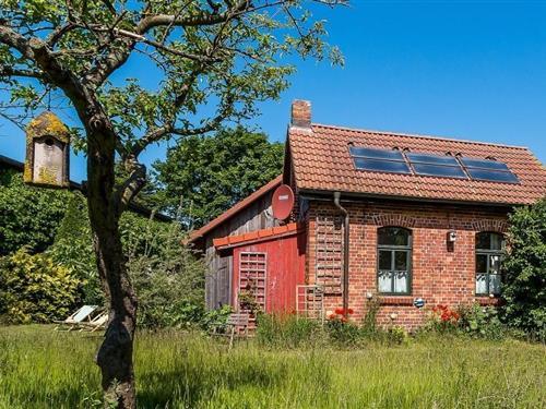 Sommerhus - 2 personer -  - Neue Straße - 18347 - Ostseebad Wustrow