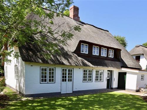 Feriehus - 8 personer -  - 25938 - Nieblum