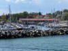 Bilde 25