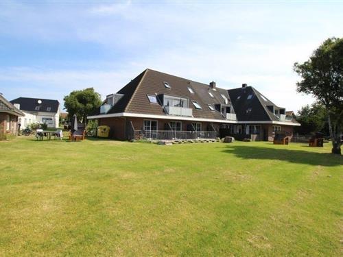 Feriehus / leilighet - 5 personer -  - Nei Stich - 25946 - Norddorf