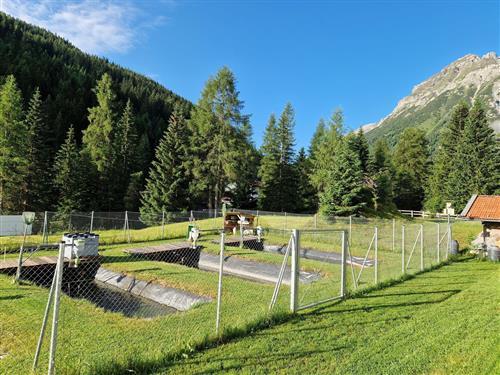 Feriehus / leilighet - 5 personer -  - Eben - 6157 - Obernberg Am Brenner