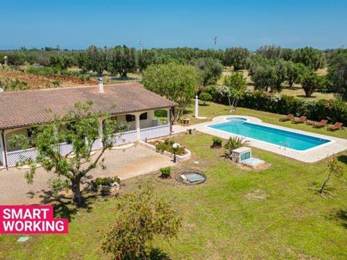 Ferienhaus - 8 Personen -  - 72019 - San Vito Dei Normanni