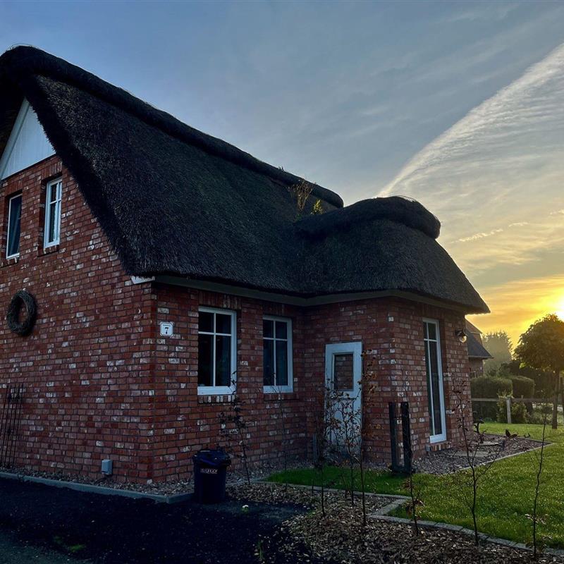 Sommerhus - 4 personer -  - Lückenweg - 21737 - Wischhafen