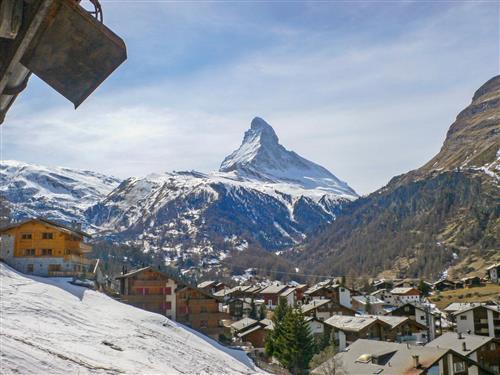 Sommerhus - 3 personer -  - Zermatt - 3920