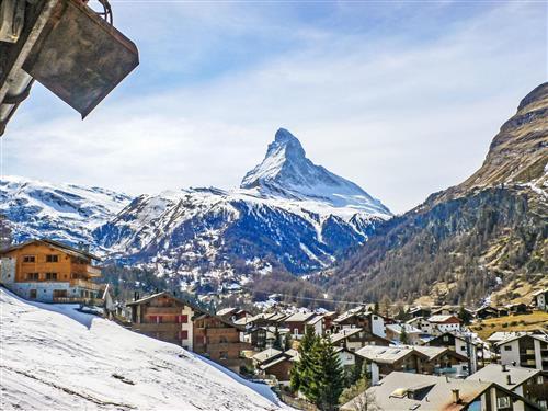 Sommerhus - 3 personer -  - Zermatt - 3920