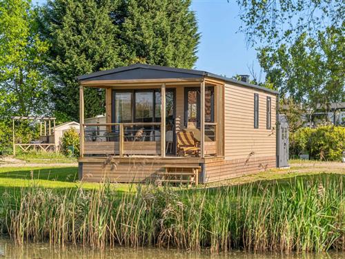 Holiday home - 4 persons -  - Kinrooi - 3640