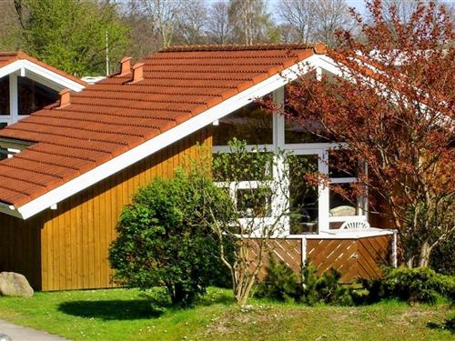 Feriehus - 6 personer -  - Wiesenstraße - 23730 - Neustadt In Holstein