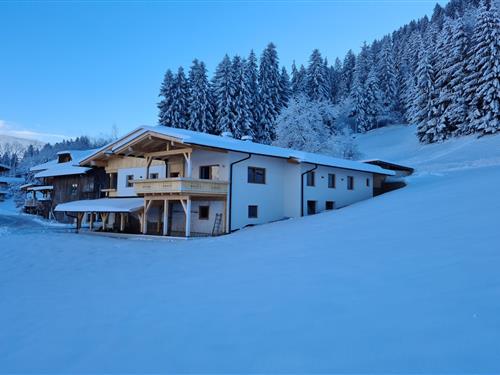 Holiday Home/Apartment - 8 persons -  - 6272 - Kaltenbach