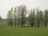 Image 35