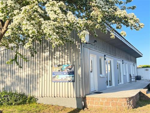 Ferielejlighed - 4 personer -  - Streuer Weg 63 c - 18569 - Schaprode