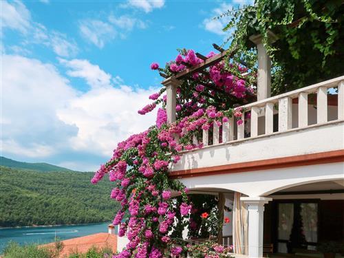 Holiday apartment - 4 persons -  - Labin - 52220