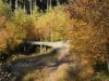 Bild 33