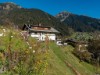 Bild 52