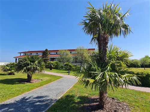 Ferieleilighet - 2 personer -  - Am Golfplatz - 23968 - Hohen Wieschendorf