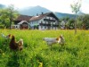 Bilde 3