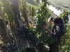 Billede 21