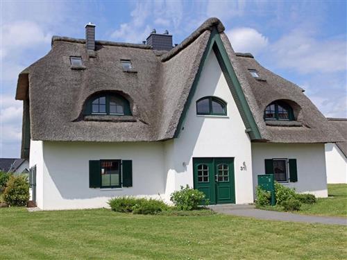 Ferienhaus - 4 Personen -  - Strandkoppel - 23942 - Barendorf