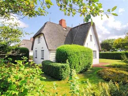 Feriehus - 5 personer -  - Deckerstr. - 25980 - Westerland