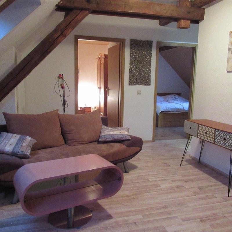 Sommerhus - 12 personer -  - Poststr. - 54347 - Neumagen-Dhron