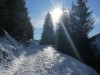 Bilde 6