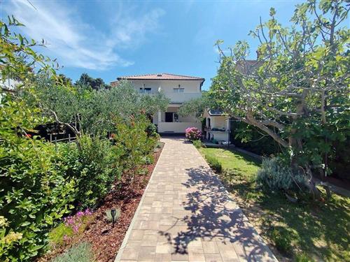 Ferielejlighed - 3 personer -  - Supetarska draga - 51280 - Rab