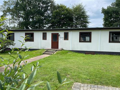 Holiday home - 6 persons -  - 29328 - Faßberg