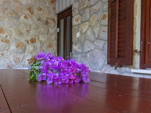 Sommerhus - 5 personer -  - Mali Lošinj - 51550 - Mali Lošinj