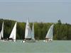 Billede 38