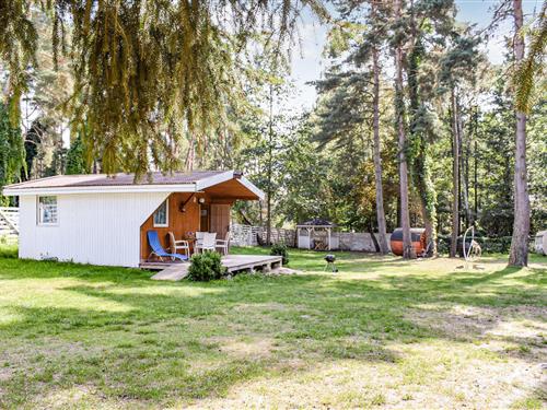 Ferienhaus - 6 Personen -  - Lesna - 72-346 - Pobierowo