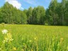 Bild 32 - Ude