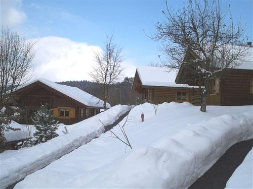 Feriesenter - 5 personer -  - Kürnburgstr. - 93491 - Stamsried