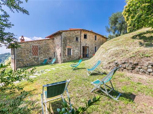 Ferienhaus - 6 Personen -  - Pescia - 51010