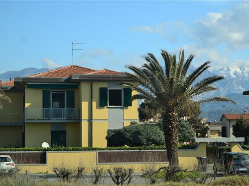 Fritidshus - 4 personer -  - 54033 - Carrara