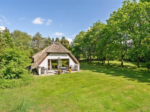 Sommerhus - 6 personer -  - Vester Mosevej - Vedersø Klit - 6990 - Ulfborg