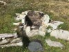 Image 6 - Outside