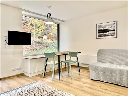 Ferielejlighed - 2 personer -  - Jachymov - 362 51